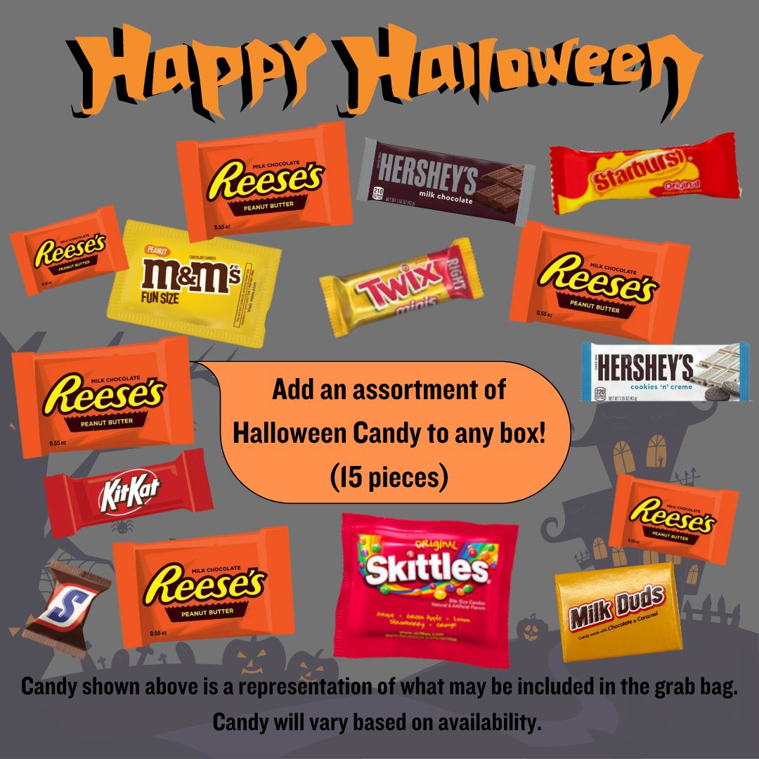 ADD ON ITEM | (15) Mini Halloween Trick or Treat Candy Bundle